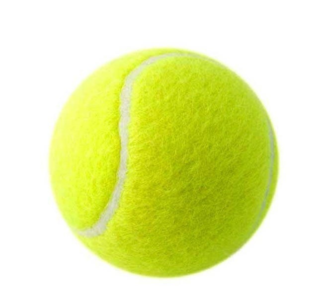 12 Pack Tennis Balls Standard Size, Durable Bounce, Training & Play Ball, Pet Kids Toy Ball
